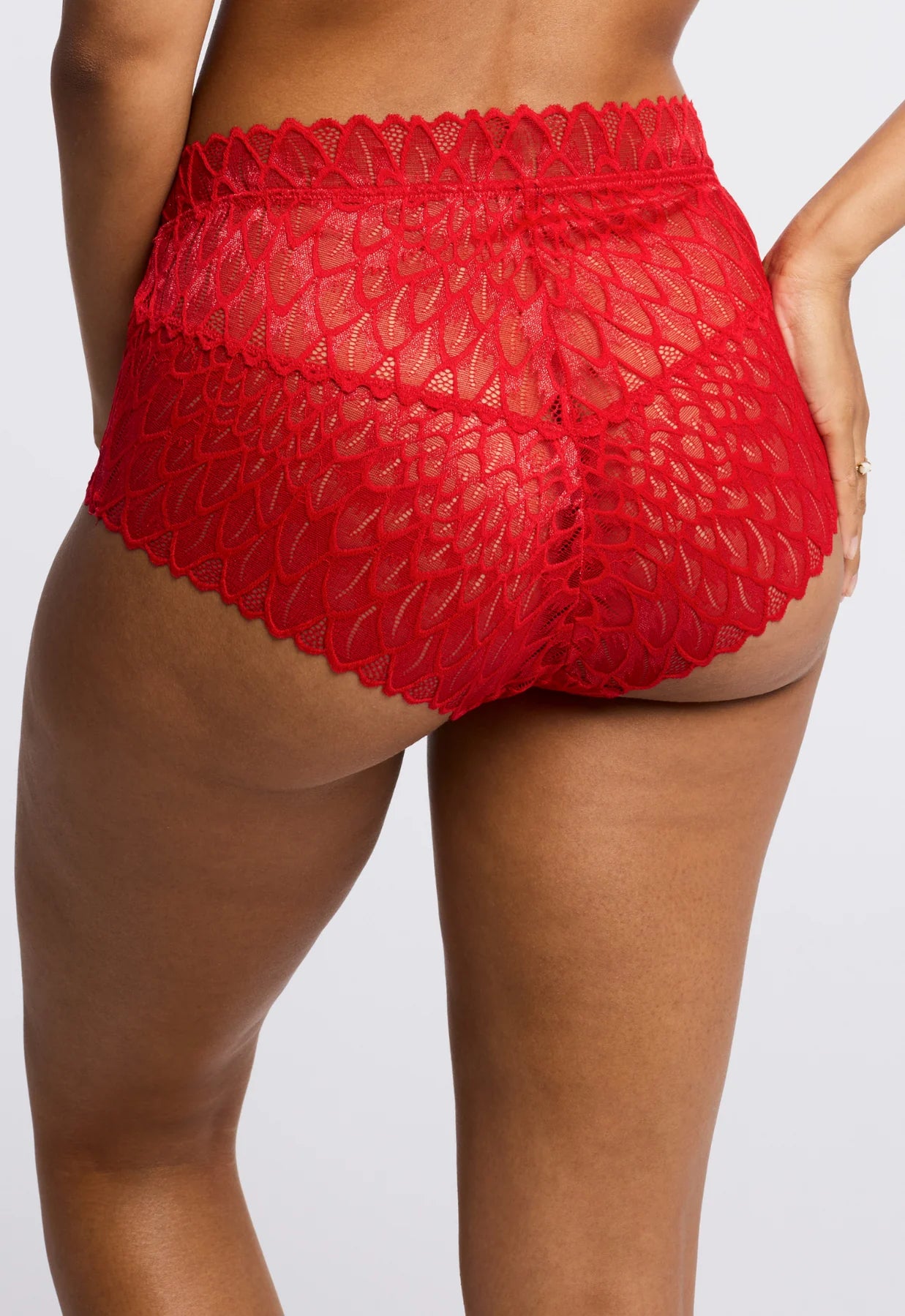Montelle Lacy Essentials High Waist Brief
