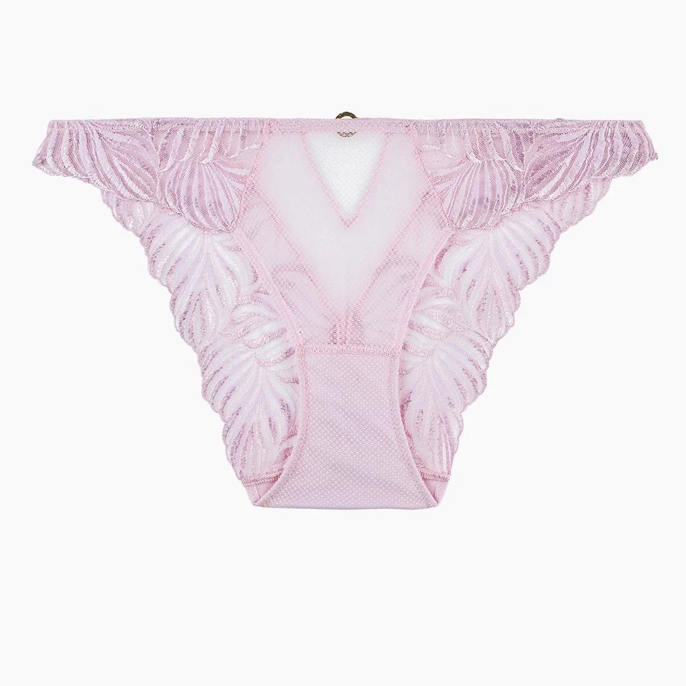 Aubade Paradis Exotique Italian Brief