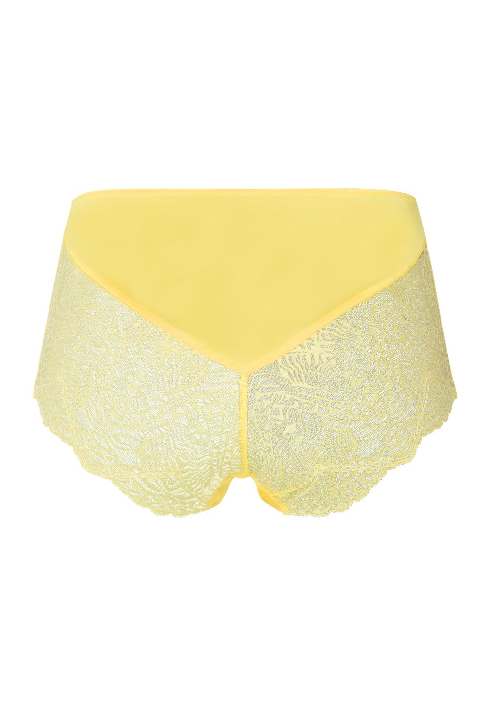 Hanro Josephine High Waist Brief