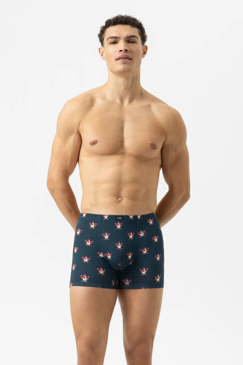 MEY Serie Sporty Chicken Men's Boxer Brief