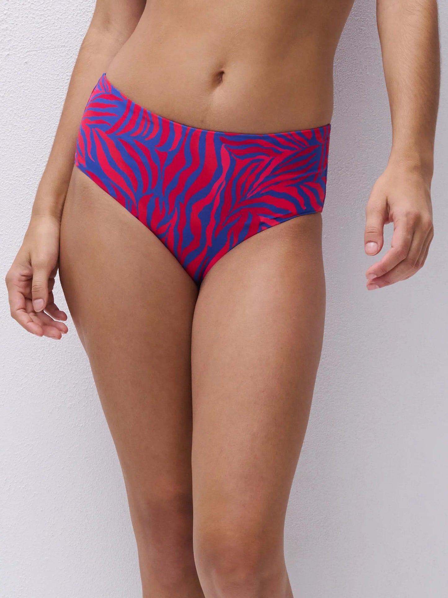 Femilet Tidra High RIse Bikini Bottom