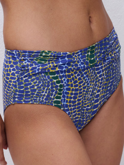 Femilet Taula Full Brief Bikini Bottom