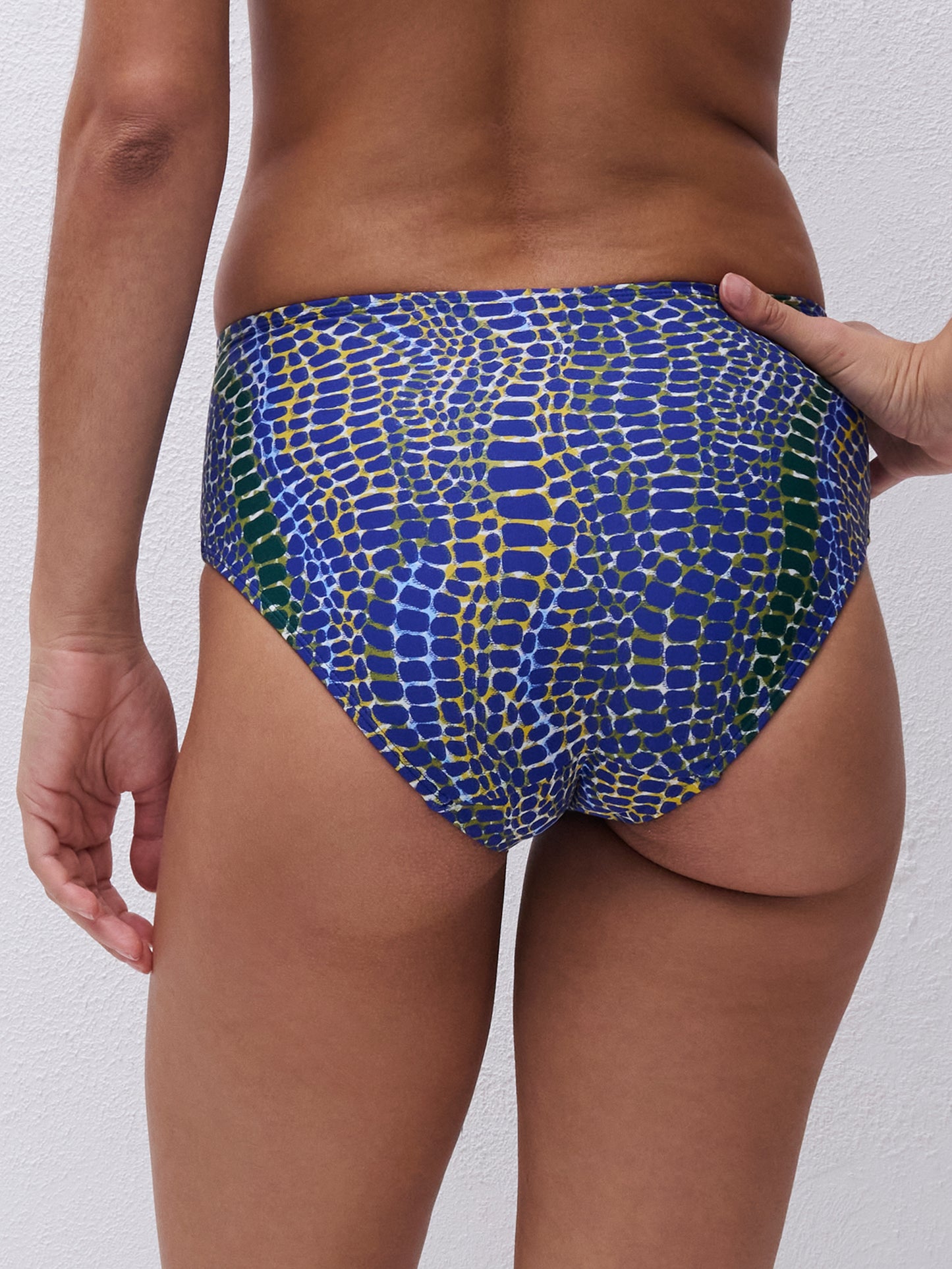 Femilet Taula Full Brief Bikini Bottom