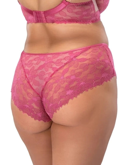 Nessa Lauren Brief