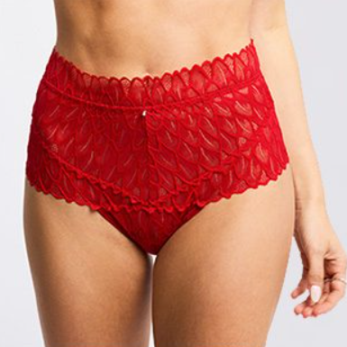 Montelle Lacy Essentials High Waist Brief