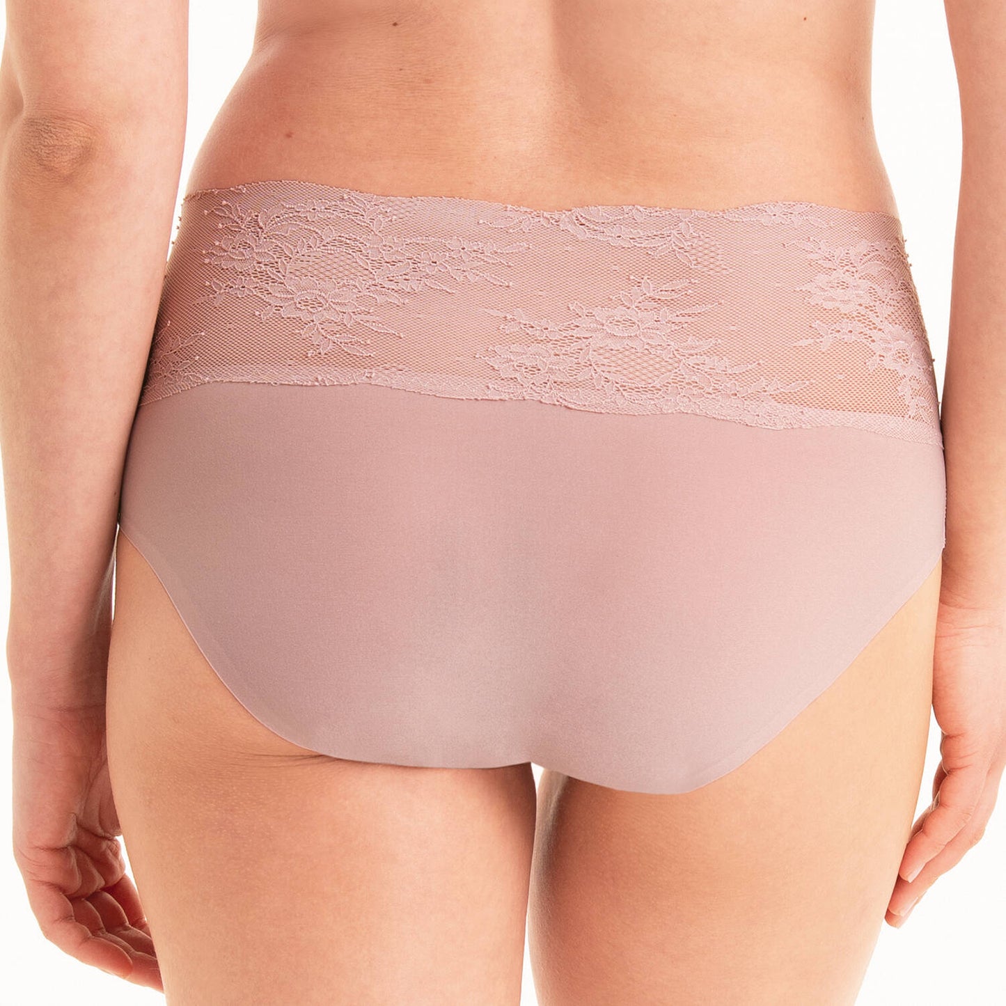 Anita Essential Lace High Waist Briefs