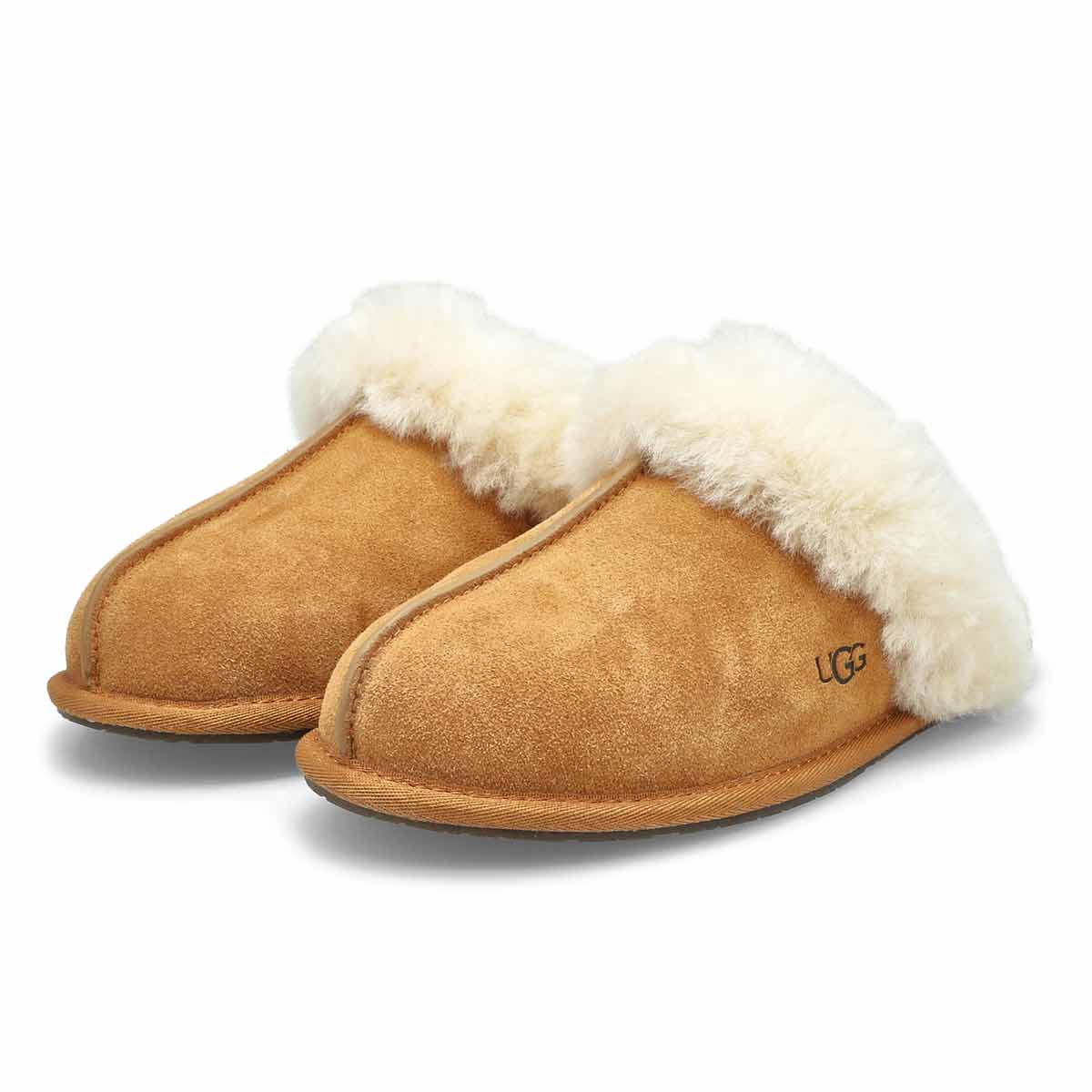 Scuffette hot sale slipper ugg